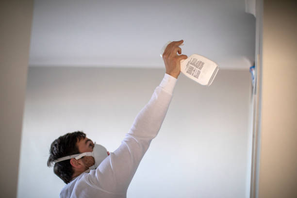 Best Mold Remediation  in West Hazleton, PA
