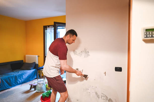 Best Attic Mold Removal  in West Hazleton, PA